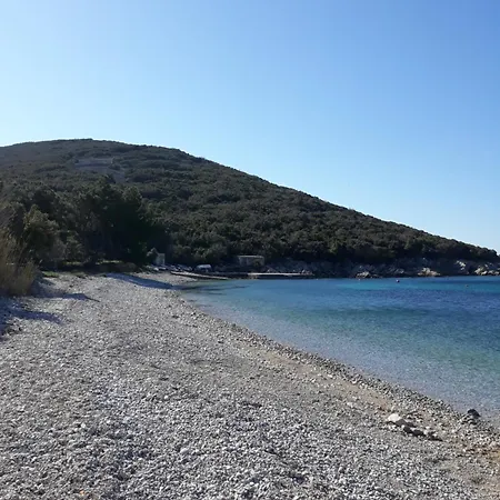 Mary Miholascica