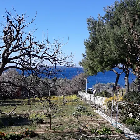 Mary Apartment Miholascica